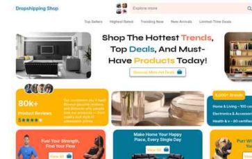 Dropshipping Shop (screenshot desktop)