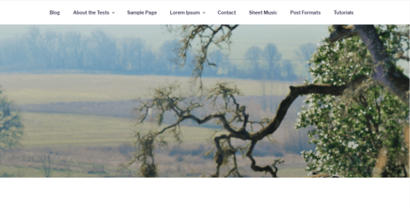 Dynamic Seventeen (WordPress)