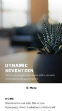 Dynamic Seventeen (screenshot mobile)