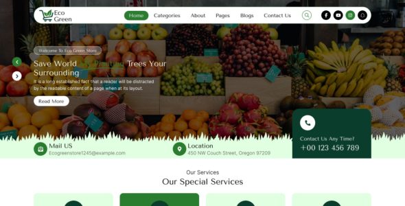 Eco Store (WordPress)