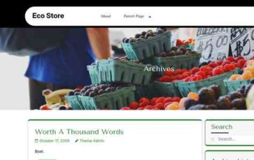 Eco Store (screenshot desktop)
