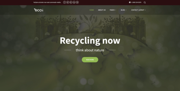 Ecoi Pro (WordPress)