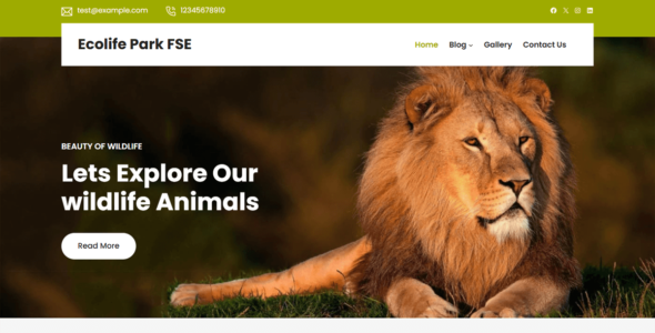 Ecolife Park FSE (WordPress)