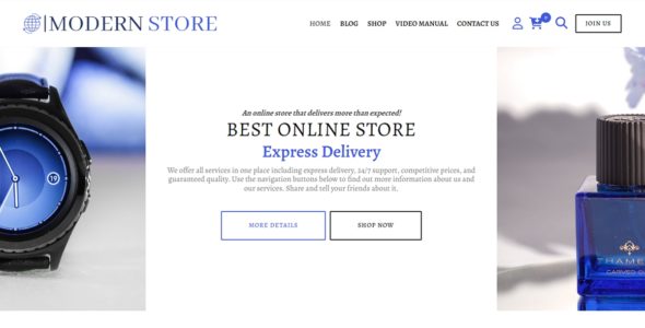 Ecommerce Modern Store (WordPress)