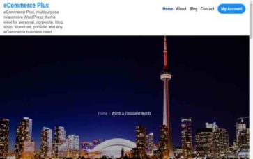 eCommerce Plus (screenshot desktop)