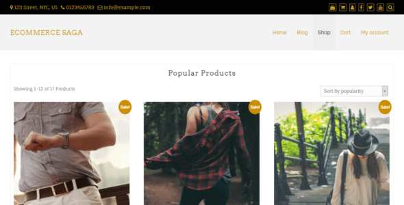 eCommerce Saga (WordPress)