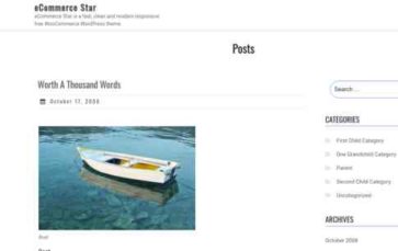 eCommerce Star (screenshot desktop)