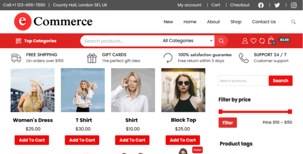Ecommerce Starter (WordPress)