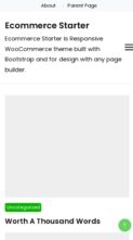 Ecommerce Starter (screenshot mobile)