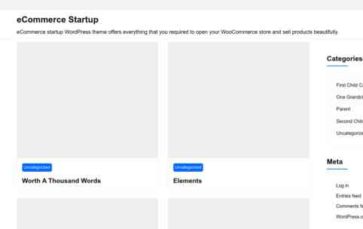 ECommerce Startup (screenshot desktop)