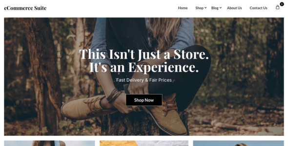 eCommerce Suite (WordPress)