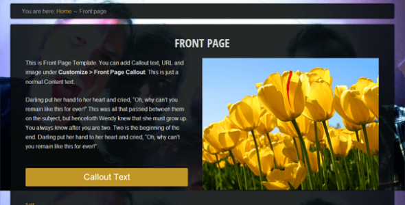 Eino (WordPress)