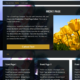 Eino (WordPress)