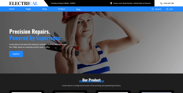 Electrical Repair (WordPress)