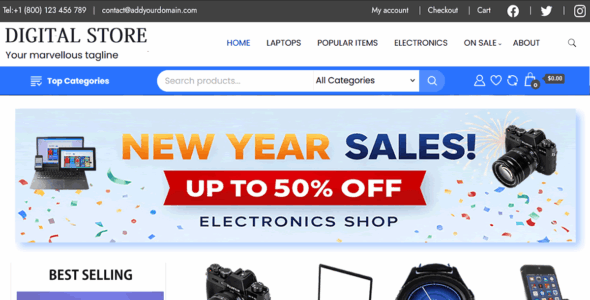 Electronic Storefront (WordPress)