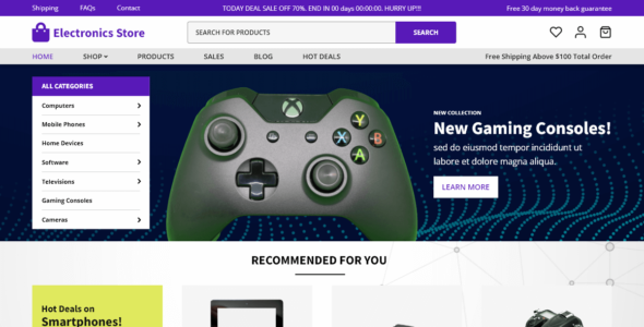 Electronics Store (WordPress)