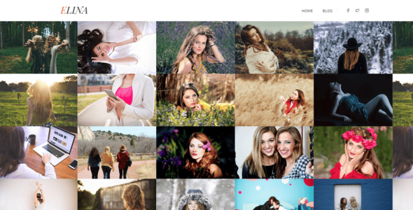 Elina Lite Portfolio Gallery (WordPress)
