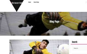 Elite Soccer Club (screenshot desktop)