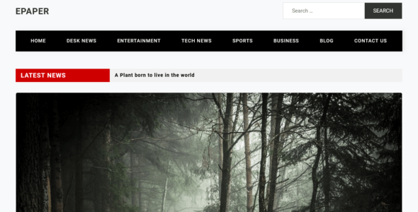 Epaper (WordPress)