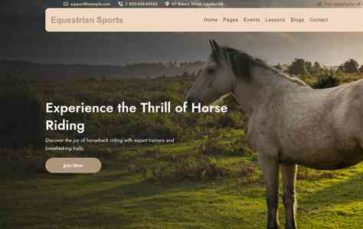 Equestrian Sports (screenshot desktop)