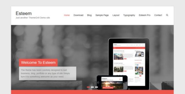 Esteem (WordPress)