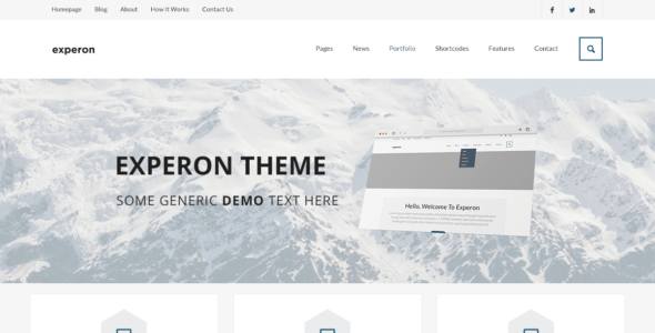 Experon Biz (WordPress)