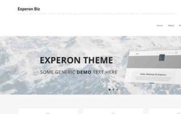 Experon Biz (screenshot desktop)