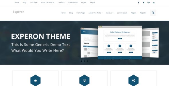 Experon Business (WordPress)