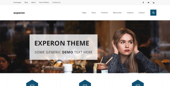 Experon eBlog (WordPress)