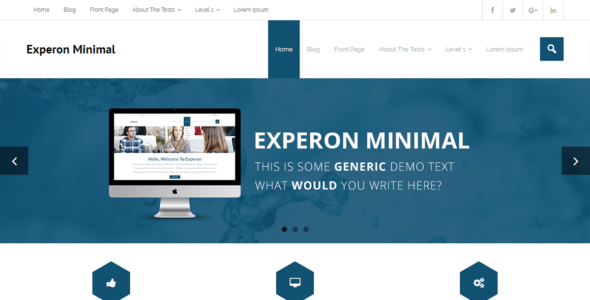 Experon Minimal (WordPress)