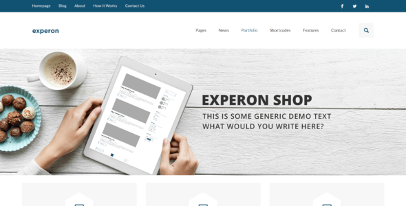 Experon Shop (WordPress)