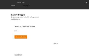 Expert Blogger (screenshot desktop)