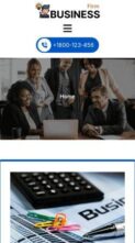 Expert Business Advisor (screenshot mobile)