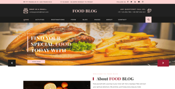 Expert Food Blog (WordPress)