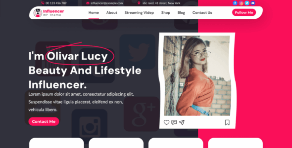 Expert Influencer Agency (WordPress)