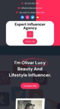 Expert Influencer Agency (screenshot mobile)