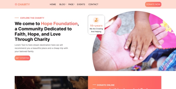 Expert NGO Volunteer (WordPress)