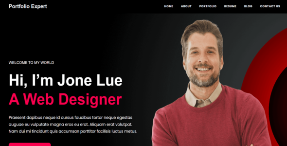 Expert (WordPress)