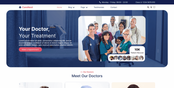 Expert Nurses (WordPress)