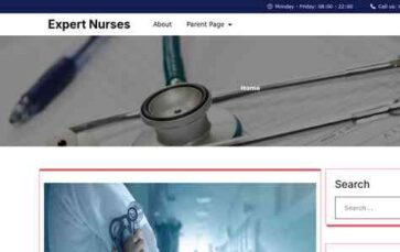 Expert Nurses (screenshot desktop)