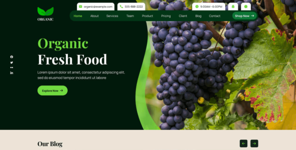 Farming Store (WordPress)