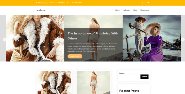 Fashion Blogging (WordPress)