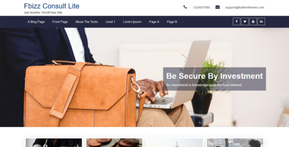 FBizz Consult Lite (WordPress)