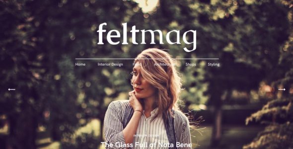 Felt (WordPress)