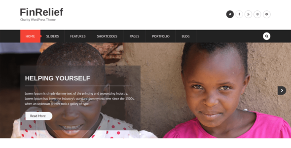 FinRelief (WordPress)