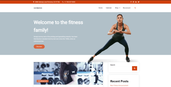 Fitness Blog (WordPress)