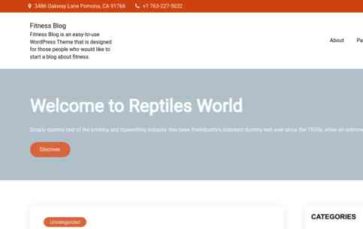 Fitness Blog (screenshot desktop)