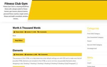 Fitness Club Gym (screenshot desktop)