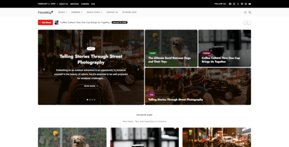 FlareBlog (WordPress)