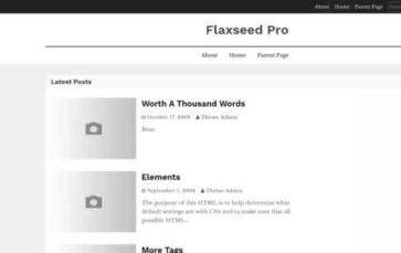 Flaxseed Pro (screenshot desktop)